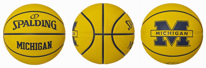ミシガン大学 コラボレーション バスケットボール＆ミニゴール6