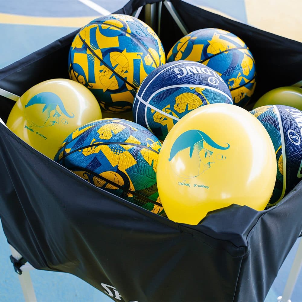 go parkey_ゴーパーキー_アートコート_spalding_スポルディング